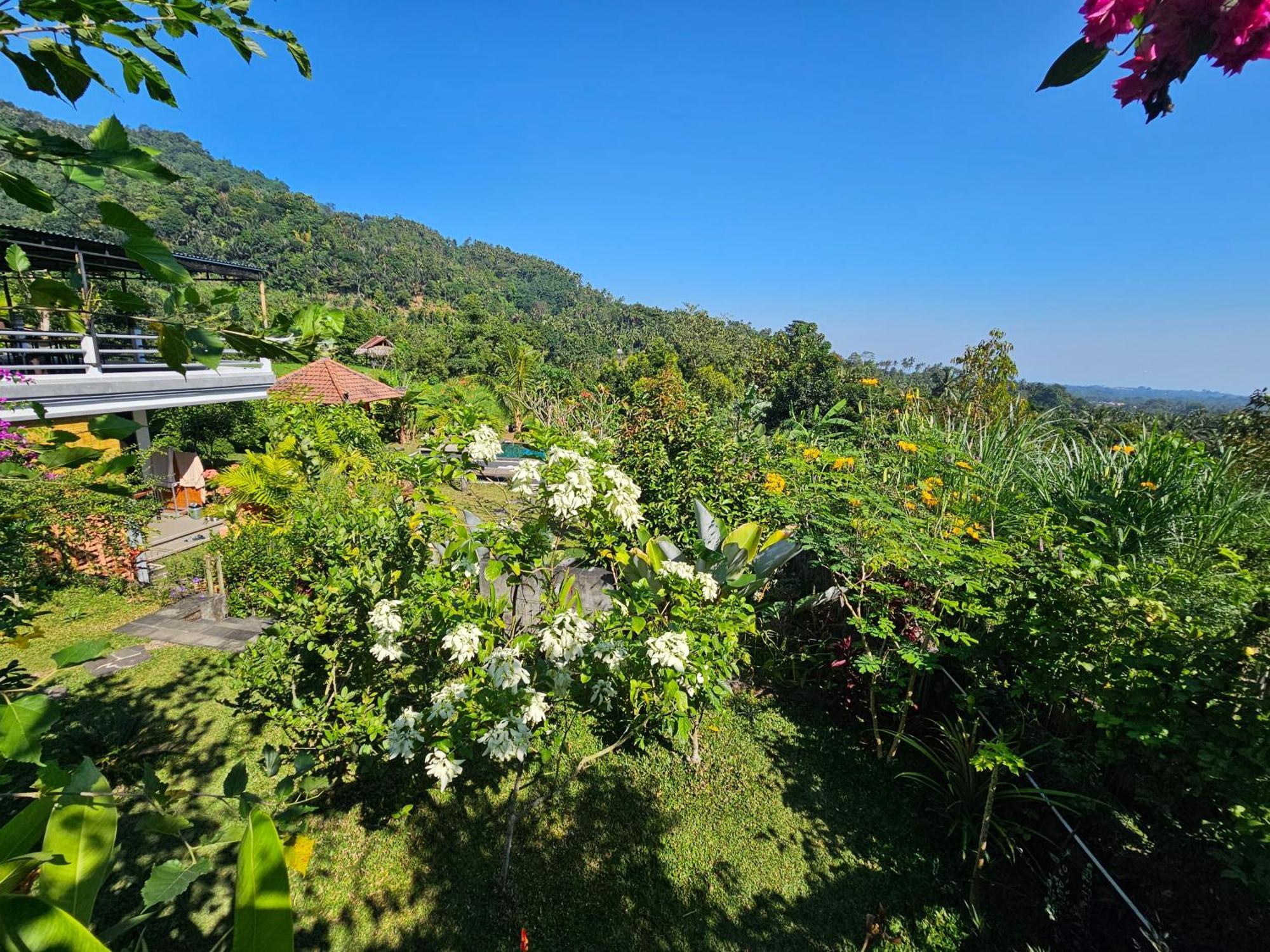 Villa Markisa Pakisan Sawan Екстериор снимка